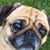 Linda Murray's profile image