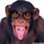 Cody Luthi's profile image