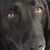 Timothy Larcombe's profile image