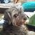 Kate Sponsler's profile image