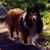 Gary Petrey's profile image
