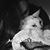 Jennifer Wesolowski's profile image