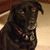 Judy Lee Hedin's profile image