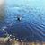 Jeanie Mirmow Gasque's profile image