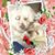 Sardonic Minds's profile image