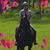 Janet Elliott's profile image