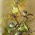 Marilyn Ashman's profile image