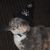 Debbie Hassa's profile image