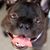 Allison LeGere Cochran's profile image