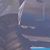 Alex Trumaine Parson's profile image