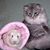 Kathy Anderson's profile image