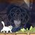 Hanadi DocAl's profile image