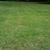 Mbl Landscape Landscape's profile image