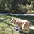 Anne Shore's profile image