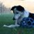 Dani Sampson's profile image