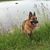Collette Shedders's profile image