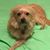 Carmen Escobar Rosario's profile image