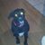 Kristina Frederick's profile image