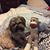 Cindy Hetherington's profile image