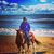 Liz Stubbs Koman's profile image