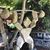 Elizabeth Weide's profile image