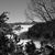 Lisa Anne Declet's profile image