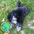 Vickie Schafer's profile image