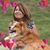Lauren Foley Kolbe's profile image