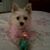 Barb Ettl's profile image