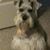 Doug Rupard's profile image