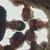 Vicki Williams Quonce's profile image