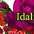 Idalya Cervantes's profile image