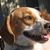 Duchess LaChance's profile image