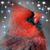 Charla Hosterman Ruby's profile image