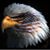 Brian Thompson's profile image
