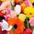 Brenda Wright's profile image