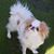 Ann Worrell Bushnell's profile image