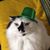 Mel Lynn Manoskey's profile image