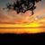 Carmelle Chandler-Tyree's profile image