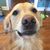Sandy Ziemski's profile image