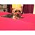 Shelly Dock Robinson's profile image