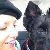 Kristyn Lawson's profile image