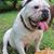 Joyce Turner's profile image