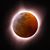 Robin MacGillivray's profile image