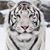 Sherrie McGraw's profile image