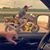 Jeremy Greve's profile image