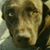 Riley Milo's profile image