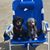 Kari Dubois Andrews's profile image