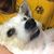 Julie Beam Hedge's profile image