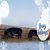 Eunice Timbrook's profile image